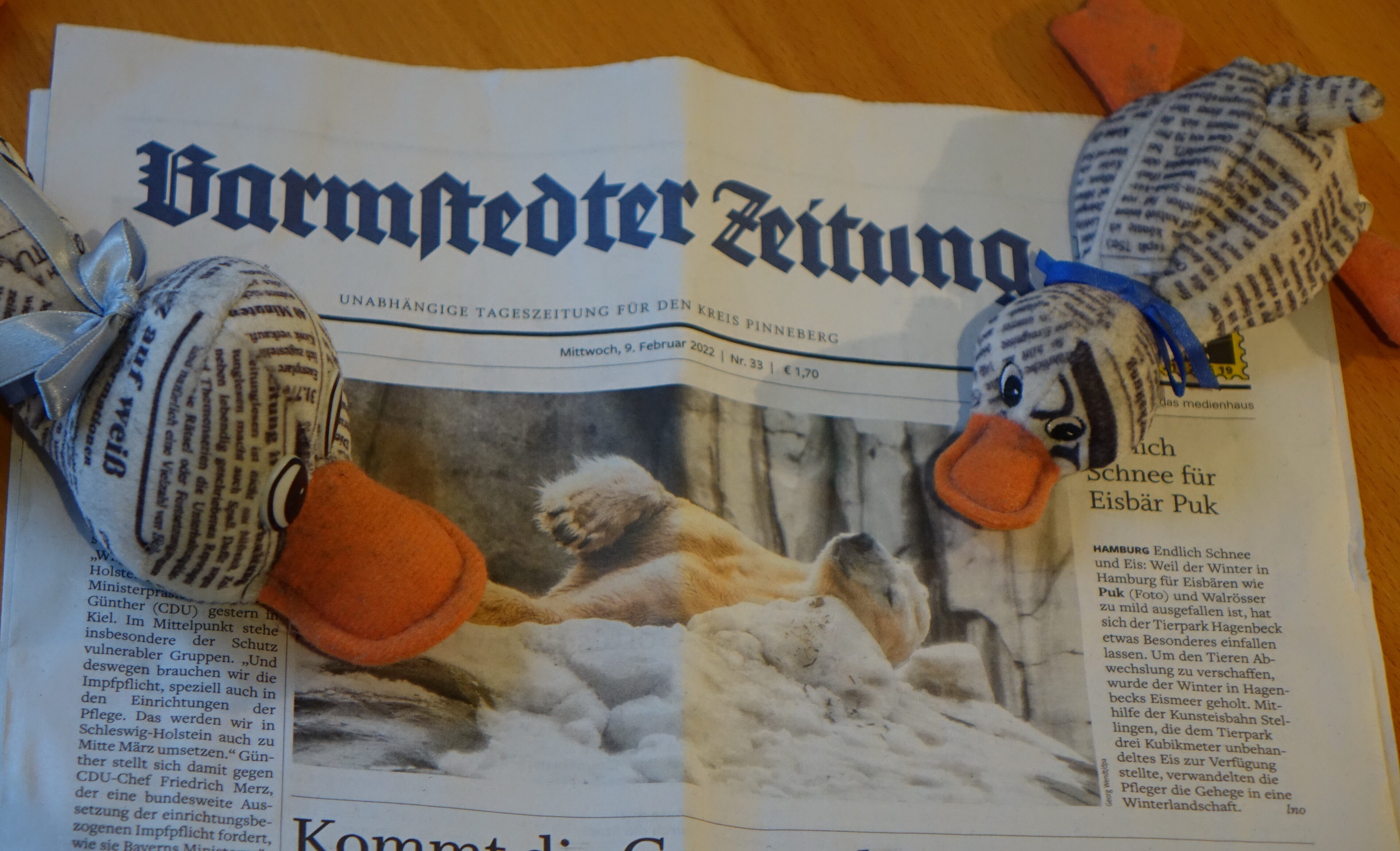 2 Enten im Zeitungsgewand (sogenannte „Zeitungsenten“) liegen auf einer Ausgabe der „Barmstedter Zeitung“